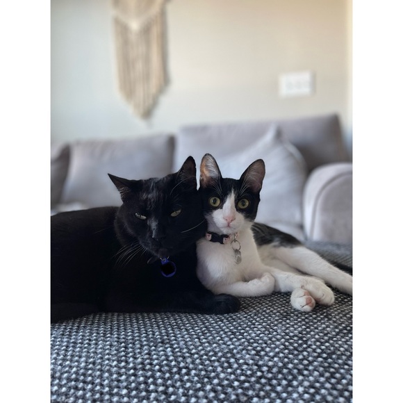 hey there , I love offers! - Picture 2 of 3